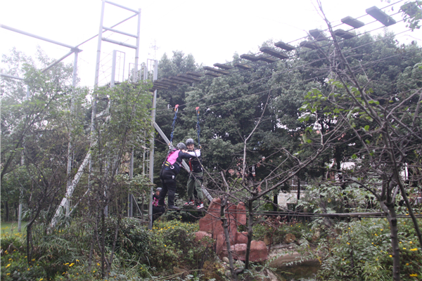 只有相互協作才能到達終點！.jpg